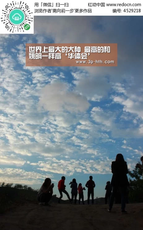 华体会体育平台