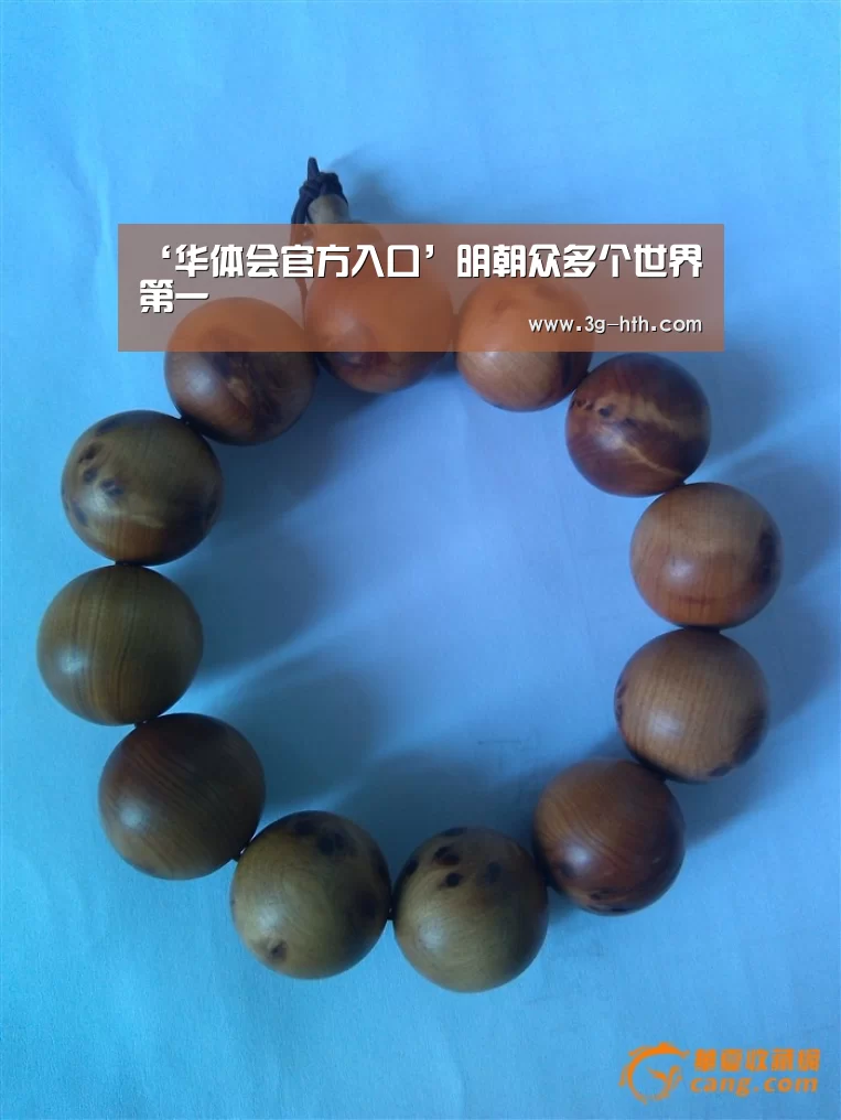 华体会官方入口