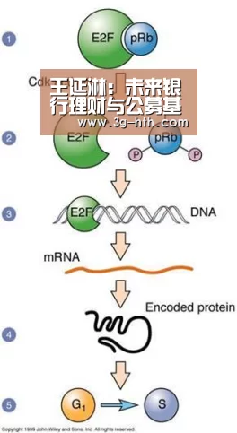 王延淋:未来银行理财与公募基金等机构竞争会越来越激烈_华体会(图2) 华体会