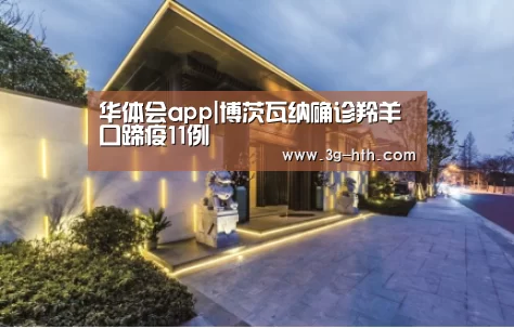 华体会官方入口