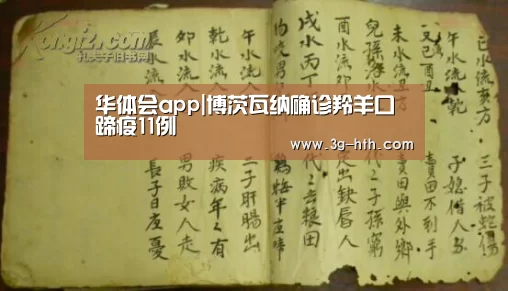 华体会官方入口
